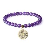 COAI Dream Catcher Charm Crystal Amethyst Bracelet for Women