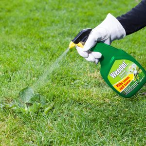 Weedol Lawn Weedkiller 800ml – Liquid Concentrate for Lawns
