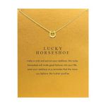 ZYAWP Friendship Horseshoe Compass Necklace Good Luck Elephant Pendant Chain Necklace with Message Card Gift Card