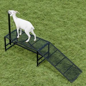 Belinova Metal Trimming Stand for Sheep Goat Milking Stand with a Ramp Livestock Stand with Adjustable Headpiece Goat Milking Stand for Clipping Hooves Black