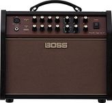 Boss Acoustic Singer Live LT 60-wat