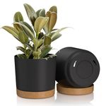 10 inch Plant Pots, FIASON Plastic Planter with Drainage Hole and Saucer, A Set of 2 Flower Pots for Indoor, Outdoor, House Plants, Succulents, Flowers (Dark Grey)