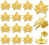 Tigeen 12 Pcs Year Service Reward Pins Star enamel Pins Pins Year of Service Award Lapel Pin For Long Standing Employees Volunteers Couples anniversary (5 Years)