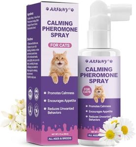 Cat Calmin