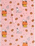 Peanuts Halloween Throws and Blanke