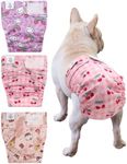 CuteBone Washable Dog Diapers Female No Tail Hole 3 Pack Reusable Doggie Period Training Pants for Docked-Tail Frenchie French Bulldog Boston Terrier Without Tail WWD29XL