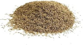 Shady Area Lawn 200g Seed Grass Shade (Covers 4 Square metres) SLH