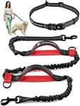 Pet Dreamland Hands Free Dog Leash for Running, Walking, Hiking, Cycling and Training. Bungee Harness, Adjustable Waist Belt, Single or Double Handle, Reflective Stitching. Small, Medium, Large Dogs