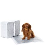 Urine Pads For Dogs