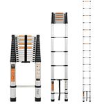 20 Telescoping Ladder