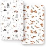 Stretch Ultra Soft Jersey Knit Fitted Crib Sheets Set 2 Pack，Fit All Standard Crib Mattress Pads Safe and Snug, Crib Fitted Sheet for Baby, Cute Jungle Squirrels and Animals