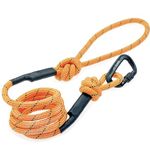 Embark Sierra Dog Lead with Mountain Climbing Rope and Carabiner. Unmatched Strength & Durability, 6ft, Colourful, and Sturdy Nylon Dog Leads for Small, Medium, Large Breed Dogs. Heavy Duty Dog Leash