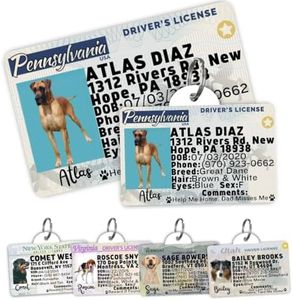 PawFurEver Dog License Tag for Large Breeds - Personalized Pet Driver License ID Tags and Wallet Card - Custom State ID Dog Name Tags Personalized - Funny Dog ID Tags - Colorado (Tags & ID Card)