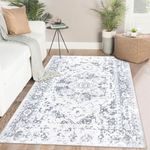 Famibay Rugs Living Room Soft Fluffy Area Rugs Anti Slip Bedroom Rugs 80x150cm Short Pile Boho Grey Carpet for Living Room Bedroom Kitchen