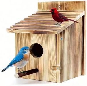Bird House