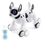 Robot Pets For Kids