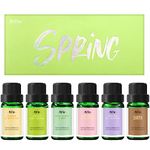 MitFlor Fragrance Oils of Spring, Premium Scented Oils Collection, Essential Oils for Candle Making, Refreshing Forest Scents, Spring of Dublin, White Jasmine & Mint and More