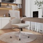 balmstar Desk Offiice Chair, Ergono