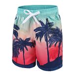 Aisyee Boys Swimming Trunks Kids Board Shorts Beach Quick Dry Boys Swimming Shorts 4-5 Years