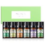 PHATOIL Essential Oils Gifts Set 100% Pure Premium Grade Oils Lavender, Tea Tree, Eucalyptus, Lemongrass, Orange, Peppermint for for Diffuser, Humidifier, Massage, Aromatherapy