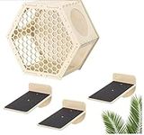 Navaris Cat Shelves for Wall (4 Pieces) - Set with Hexagon Shelf and 3 Steps - Wall Mounted Climbing Perch for Cats - Wall Mount Furniture for Walls