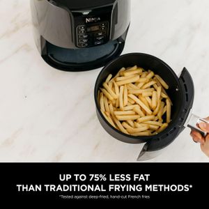 Ninja 3.8L Air Fryer – Grey, Rapid Hot Air Cooking
