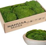 NAHUAA 2.15 Sq.Ft Fake Moss Decor for Crafts Artificial Moss Craft Decorative Moss Decor for Moss Wall Decor, Christmas Table Decor, Fairy Gardens