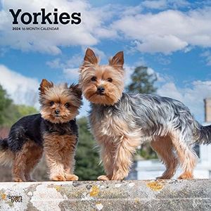 Yorkshire 
