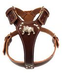 Leather Dog Harness