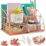 Office Desk Organizers,Rose Gold Office Supplies Desk Organization for Women,Cute Desk Caddy with Pen Holder,6 Compartments +72 Clips Set.