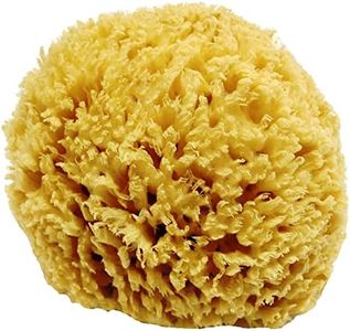 Unbleached Honeycomb Natural Sea Sponge - 100% Natural, Strong, Durable, Hypoallergenic -for Children and Adults - Used in Bath, Shower, Cleansing, Exfoliating, Art, Pets, Gift