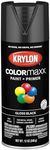 Krylon K05505007 COLORmaxx Spray Pa