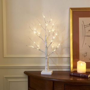 Eambrite 2ft Birch Twig Tree Lights – LED Decorative Tabletop