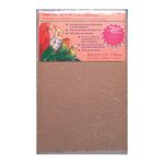 Penn-Plax Gravel Paper for Bird Cage, 9 by 12-Inch (BA638)