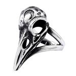 Fashion Jewelry Stainless Steel Rings, Yeneifa's Raven Skull Ring for Men Women (10)