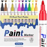 STANBLUE 12 Colors Paint Pens Paint