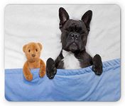 Ambesonne Animal Mouse Pad, French Bulldog Sleeping with Teddy Bear in Cozy Bed Best Friends Fun Dreams Image, Rectangle Non-Slip Rubber Mousepad, Standard Size, White Blue