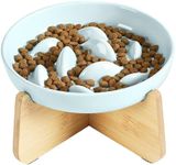 Slow Feeder Bowl with Stand, Elevated Ceramic Cat Bowl for Dry & Wet Food, Anti-Vomiting Puzzle Feeder