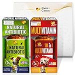 Dog and Cat Antibiotic | Dog Vitami