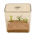 BestAntsUK Ant Farm Kit House Arena Outworld Formicarium Farm Small Set