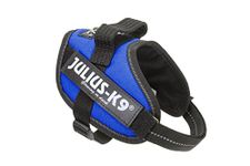 Julius-K9, 16IDC-B-M, IDC Powerharness, dog harness, Size: S/Mini, Blue