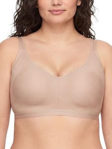 Warner's W