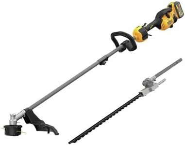 Dewalt DCS