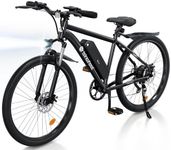 isinwheel M10 Electric Bike for Adu