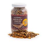 Fluker's 72023 Bearded Dragon Medley Reptile Treat