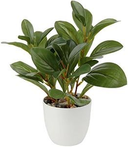 Plantas Ar