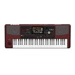 KORG , Arranger Keyboard PA-1000 61 Keys, Black