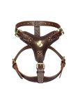 Extra Large Heavy Duty Brown Leather Dog Harness with Unique Gold Cane Corso Head Motif and Gold Fittings