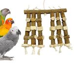 Congo® 45X35 cm Big 6 Layer Non Toxic Wooden Chew Toy - Essential Foraging Fun for Conures, Senegal, Eclectus, Amazon, African Grey, Macaws, Cockatoos, and Other Birds (Piece of 1)