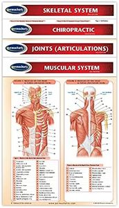 Chiropract